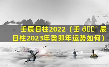 壬辰日柱2022（壬 🐴 辰日柱2023年癸卯年运势如何）